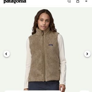 Patagonia Brown Fleece Vest